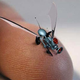 Image for article titled When the world ends, will you be covered in grey goo?